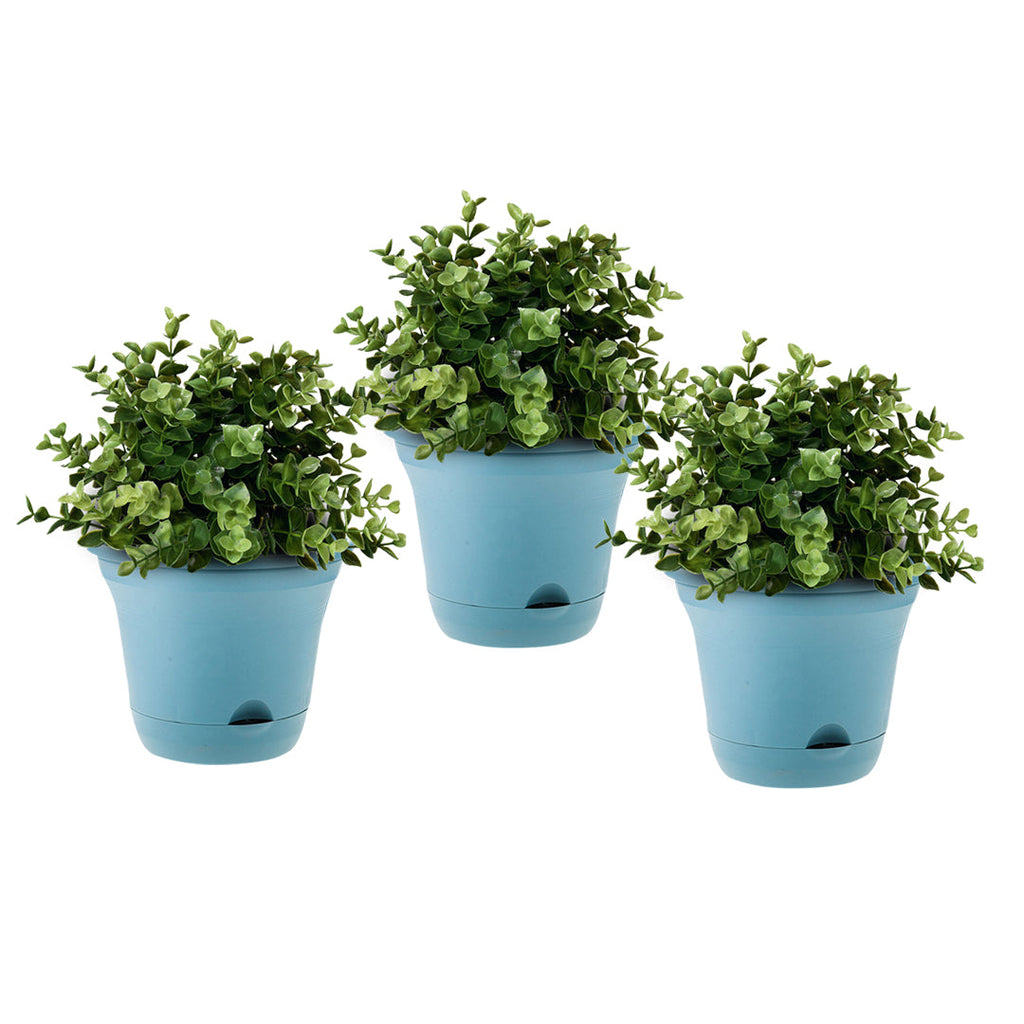 Set of three blue 19.5 cm self-watering pots with herbs