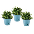 Set of three blue 19.5 cm self-watering pots with herbs