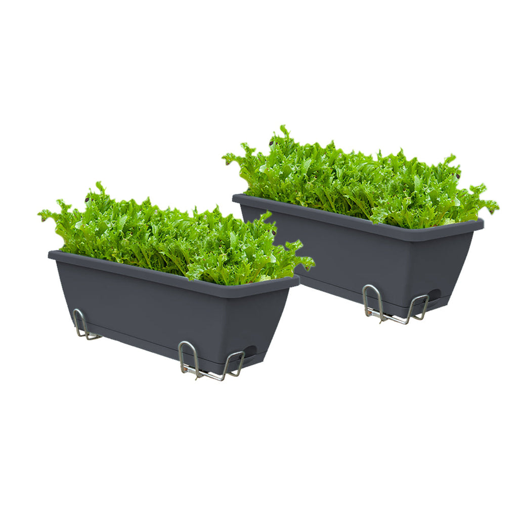 Two 49.5 cm black trough planters with iron frames, planted with greens