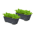 Two 49.5 cm black trough planters with iron frames, planted with greens