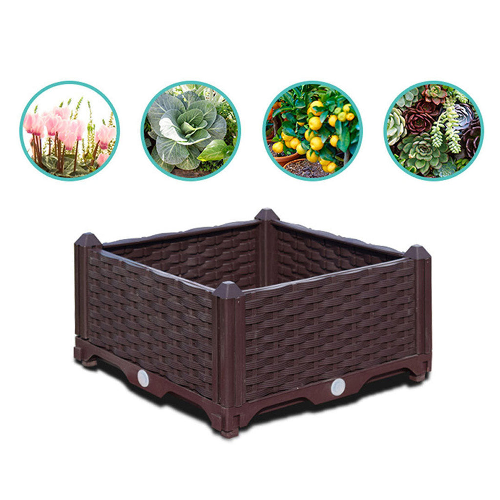 Raised veggie box suits flowers, lettuce, tomatoes and herbs