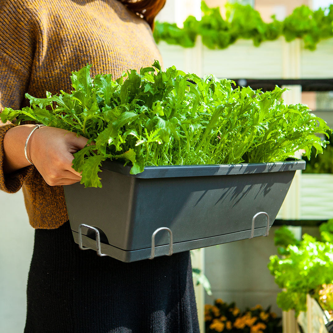 Carrying the planted trough planter