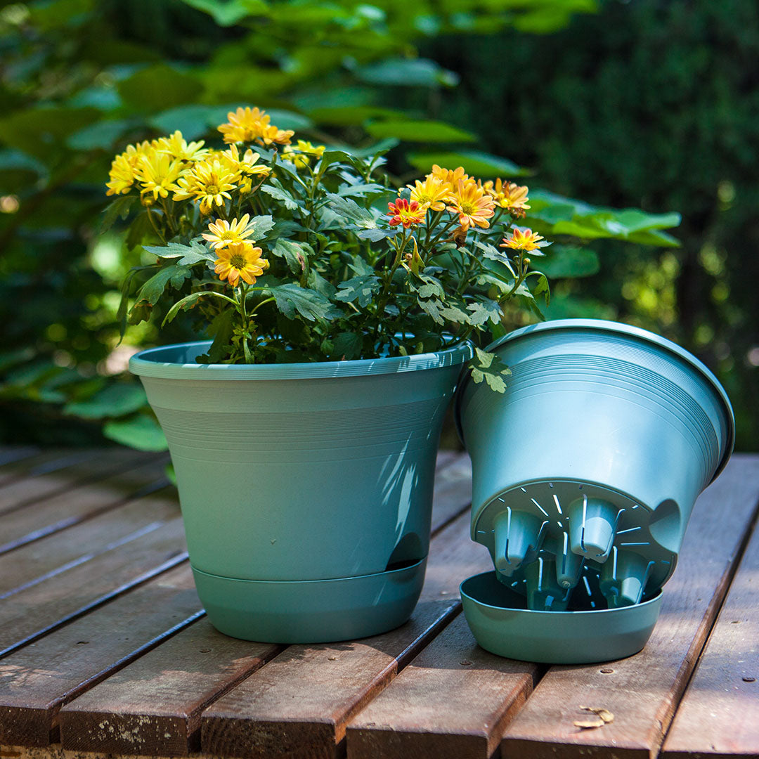 Self-watering pot with flowers next to the reservoir insert